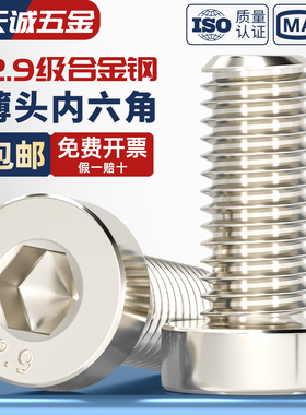12.9级高强度镀镍薄头内六角螺丝矮头六角螺栓M4M5M6M8M10M12M16