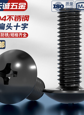 国标黑色304不锈钢十字大扁头机螺钉镀黑锌蘑菇头螺丝MM2M3M4M5M6