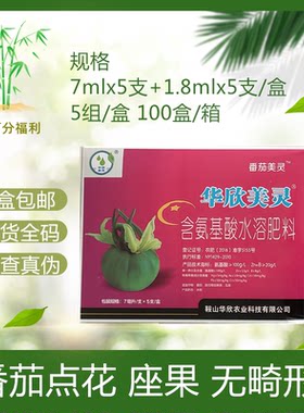 蘸花药授粉座果番茄美灵西红柿