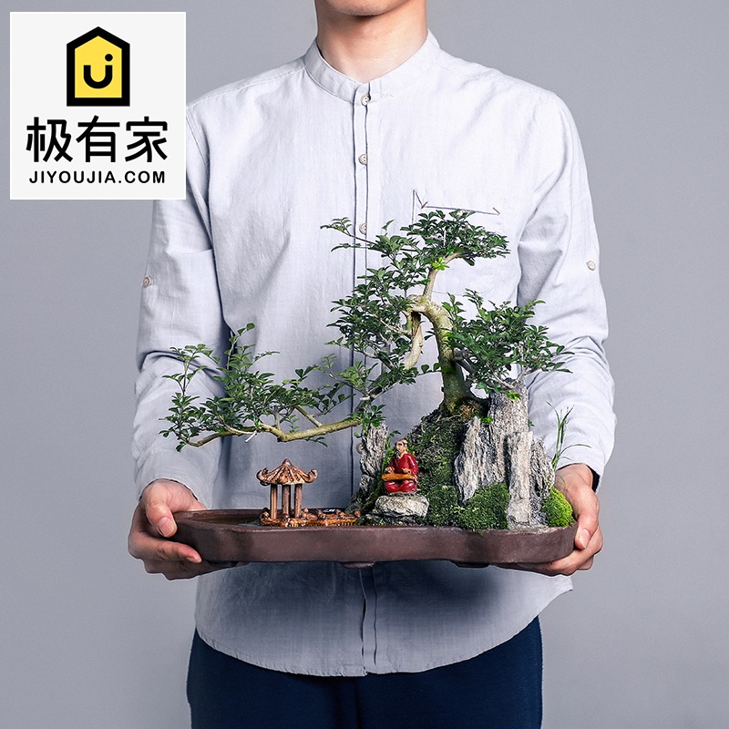 网友分享在meiguo.com的图片