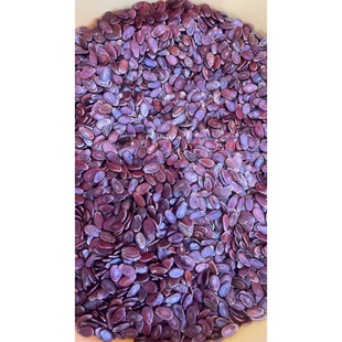 广西特产红瓜子新鲜生红瓜籽散装农家年货零食