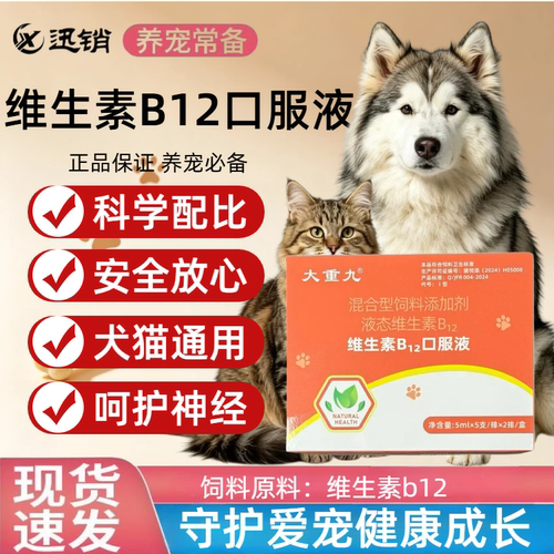 宠物犬猫VB12液猫咪狗狗神经炎