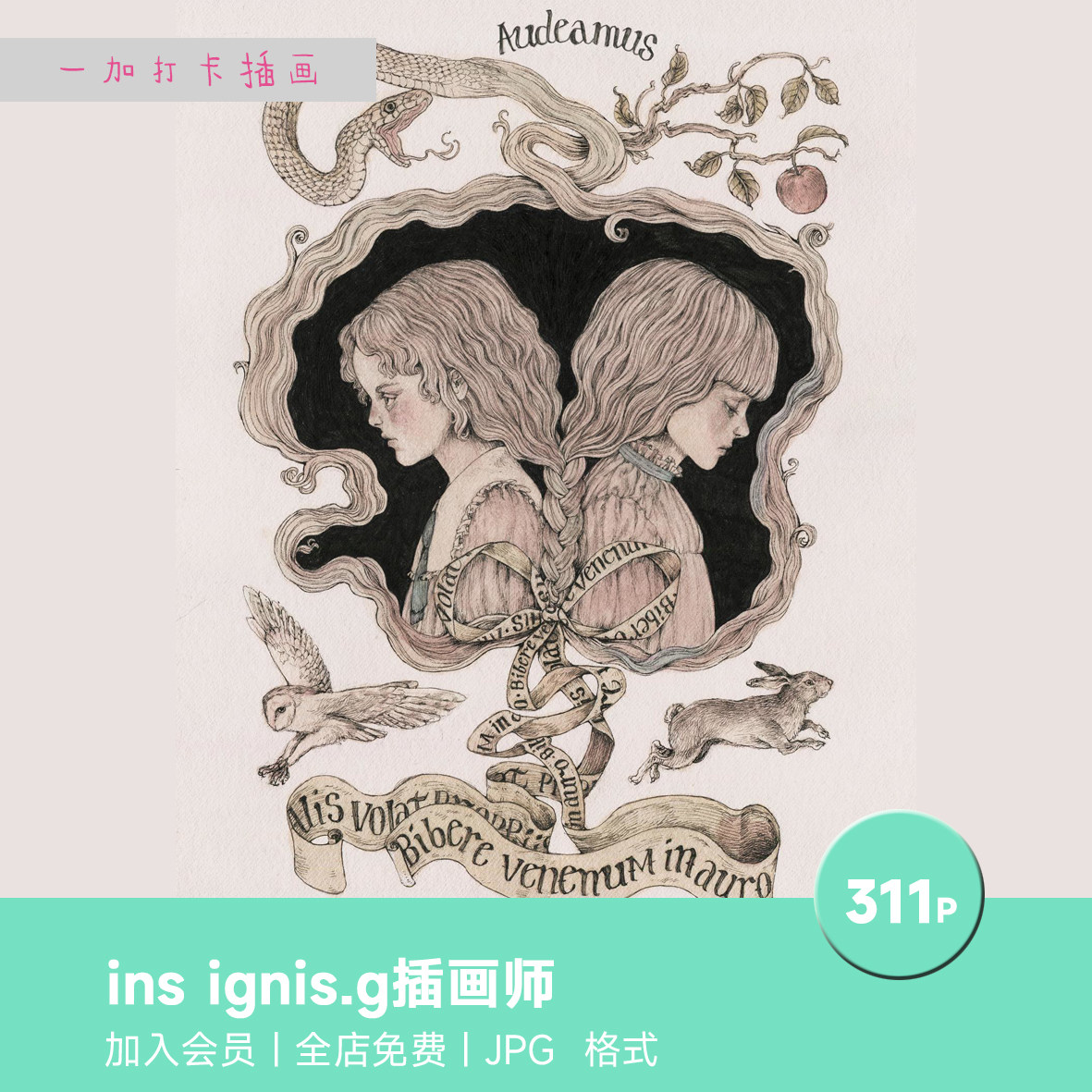 ins ignis.g插画师电子素材物绘画艺术家作品