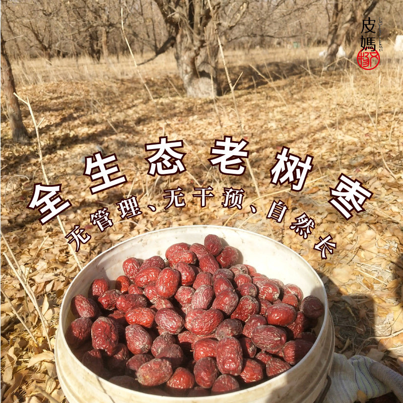 稀有老树生态灰枣金丝枣无管理自然生长天然品质好吃更健康孕妇枣