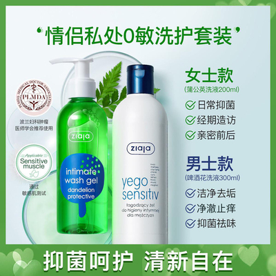 波兰进口齐叶雅蒲公英私