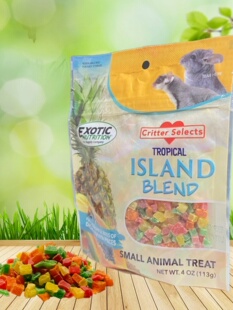 美国Exotic 热带岛屿混合水果干迷你颗粒宠物零食蜜袋鼯仓鼠鸟类