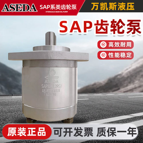 韩国SAEDA液压齿轮油泵
