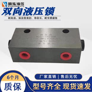 20H长江型F42泸州型SO 双向液压锁SO H10L自锁阀 15H SYS L10H