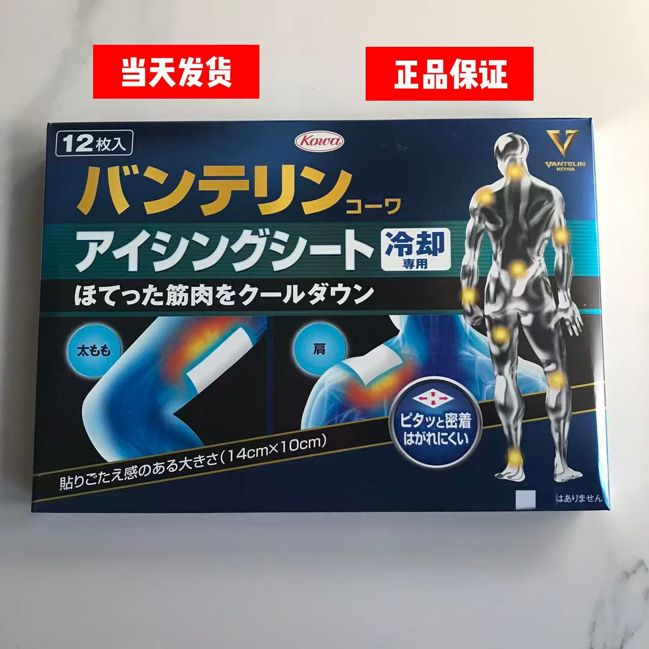 现货原装正品日本进口贴布护肩护颈护腰贴膝盖贴肌肉贴