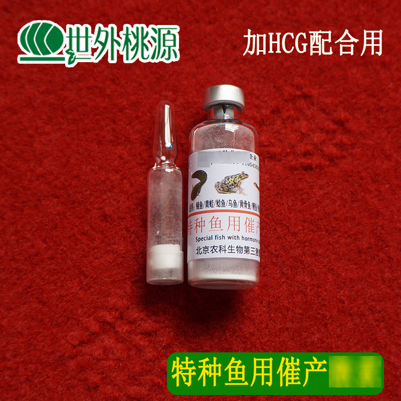 蛙苗类繁殖剂 宠物青角蛙蝌蚪催