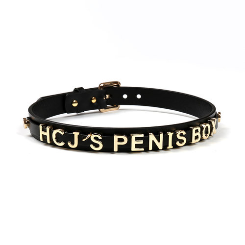 字母定制项圈牛皮锁骨链牵引套装