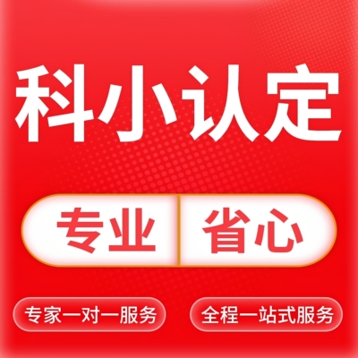 国家级科技型中小企业加急申报代申请省科小认证认定备案全国代办