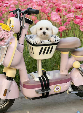 电动车带宠物座椅外出神器小型犬泰迪博美宠物筐篮带狗狗溜猫安全