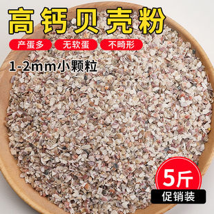 贝壳粉 鸽粮 饲料复合颗粒保健砂斑鸠粮鸟砂贝壳鸽粮补钙5斤包邮