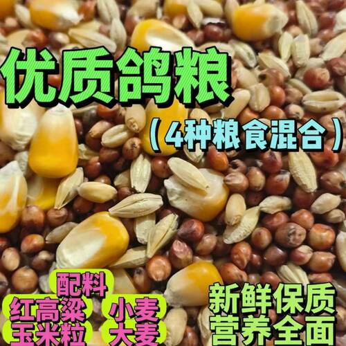 鸽粮4+1有玉米营养饲料混合型粮食赛飞肉鸽信鸽观赏鸽子鸟食包邮