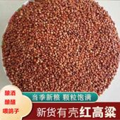 高粱带壳新娘酿酒专用红高粱鸽粮去壳带皮红高粱酿酒喂鸽子鸟饲料