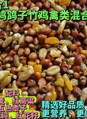 斑鸠粮食鸽粮山鸡粮竹鸡粮饲料玉米粒信鸽营养粮观赏鸽鸽子鸟食物