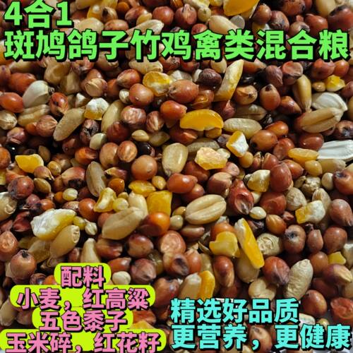 斑鸠粮食鸽粮山鸡粮竹鸡粮饲料玉米粒信鸽营养粮观赏鸽鸽子鸟食物