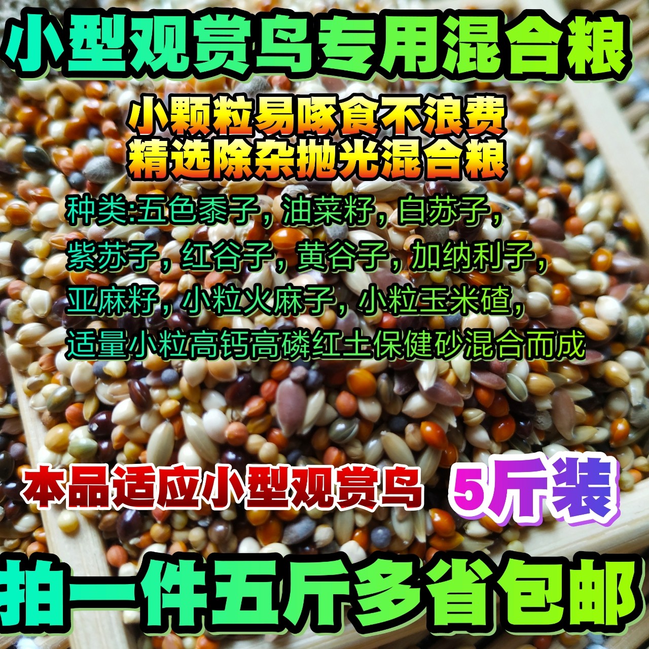 玉鸟雪鸽十姐妹金青5斤包邮饲料