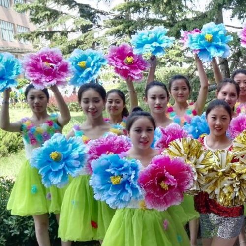 跳舞手拿花幼儿园牡丹花演出