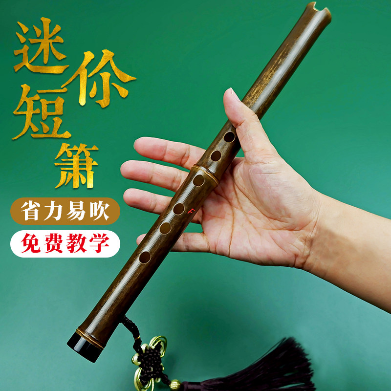 熹风紫竹洞箫六孔C调 入门级迷你短箫 古风民族吹奏乐器