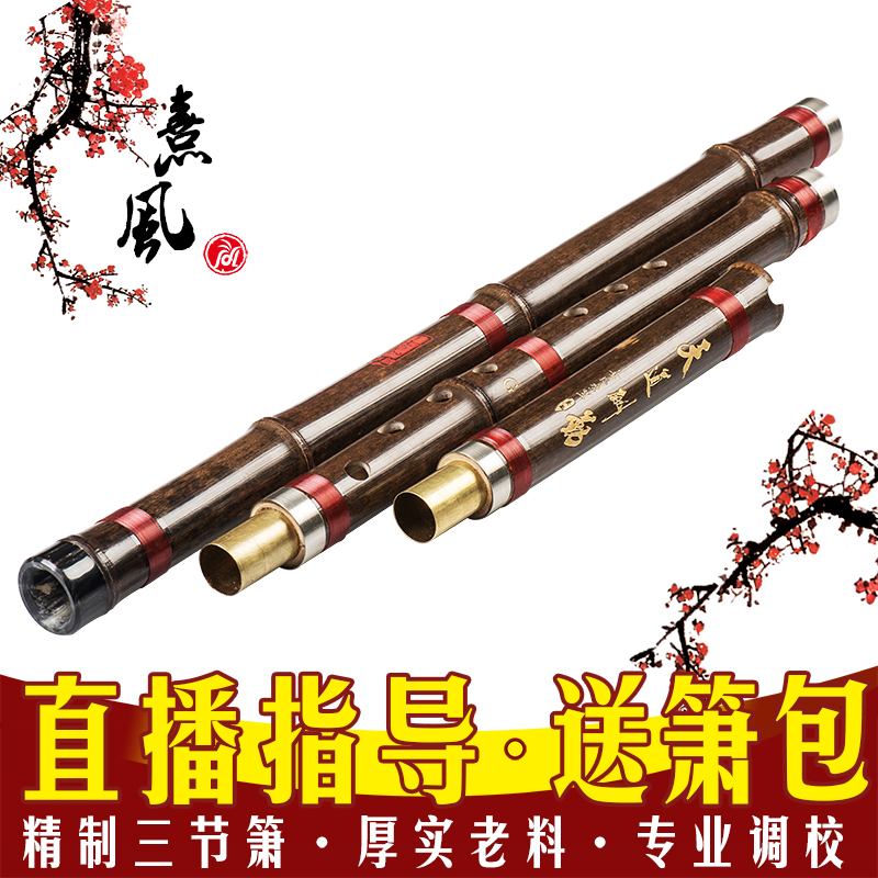 专业三节紫竹箫
