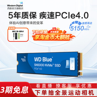 M2臺(tái)式 WD西數(shù)固態(tài)硬盤SN5000筆記本ssd 機(jī)2t電腦1tb西部數(shù)據(jù)