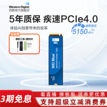 WD西数固态硬盘1t笔记本ssd M2台式电脑装机1tb西部数据SN5000