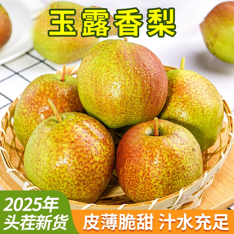 正宗山西玉露香梨脆甜多汁隰县玉露香梨子当季新鲜礼盒装10斤包邮