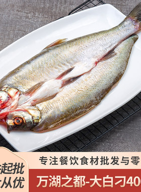 万湖之都大白刁整条湖北鱼
