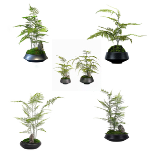 仿真文竹盆载摆件新中式绿植盆景客厅书房玄关售楼处会所桌面摆设