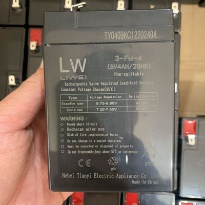 LW电动充电器儿童电动车蓄电池摩托车童车三轮玩具配件汽车电瓶