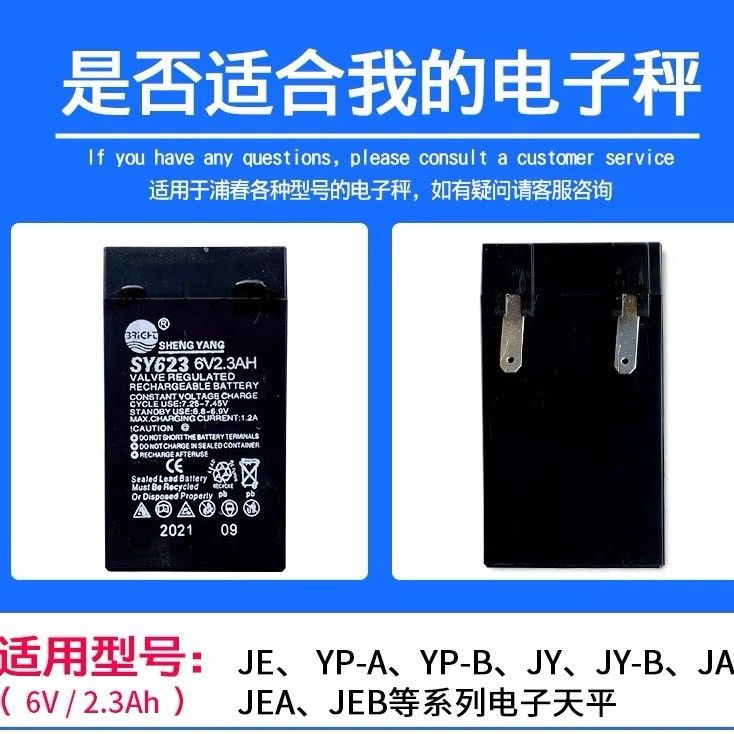 SY623/TY623SY625原装蒲春电子天平专用电池晟阳免维护台