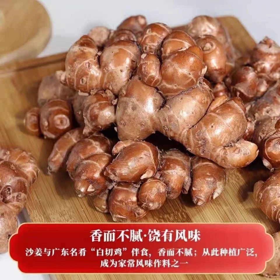 沙姜广东批发现挖沙姜新鲜山奈辛辣农家正宗自种砂姜便宜食用蔬菜