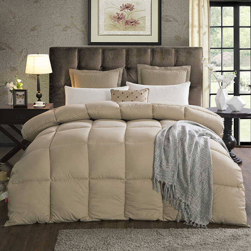 纯色被子冬被双人磨毛加厚保暖四季通用春秋被芯棉被褥8斤太空被