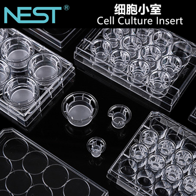 NEST耐思细胞小室transwell嵌套PET聚酯膜 PC聚碳酸酯膜24 6孔