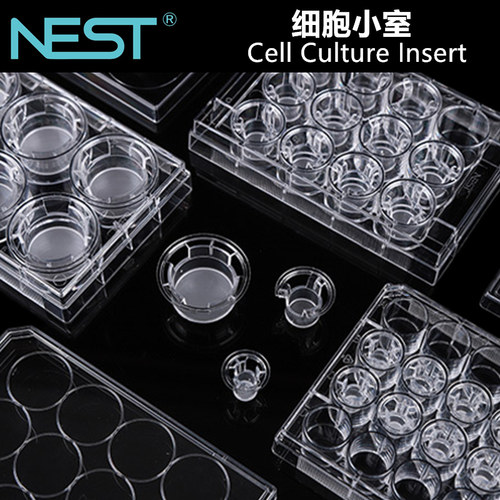 NEST耐思细胞小室transwell嵌套PET聚酯膜 PC聚碳酸酯膜24 6孔