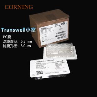 Corning康宁6孔12孔24孔细胞小室 transwell 0.4/3/5/8um 3450