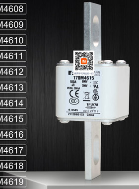 BUSSMANN熔断器170M4608 4609 4610 170M4611 4612 4613快熔保险