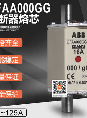 熔断器OFAA000GG2A 6A 10A 16A 20A 25A 32A 35A 40A 50A 63A
