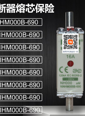 保险6 10 16 20 25 32 35 40NHM000B-690 NH000 aM熔断器