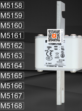 巴斯曼保险170M5158 5159 170M5160 5161 170M5162 5163熔断器
