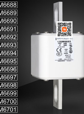 巴斯曼170M6695 6696 170M6697 6698 170M6699 6700 6701熔断器