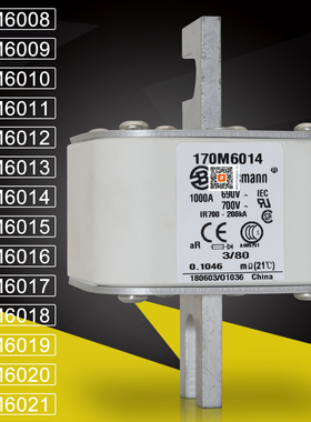 巴斯曼170M6015 6016 170M6017 6018 6019 170M6020 6021熔断器