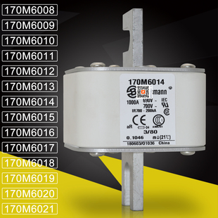 巴斯曼170M6015 6016 170M6017 6018 6019 170M6020 6021熔断器