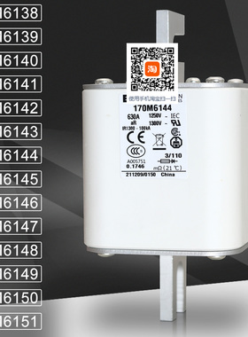 保险170M6145 6146 170M6147 6148 170M6149 6150 170M6151熔断器