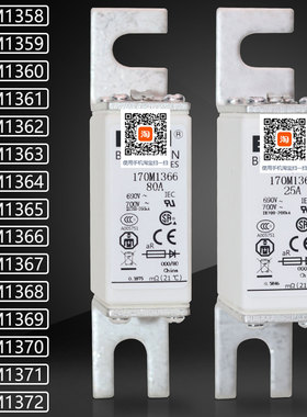 熔芯170M1358 1359 1360 1361 1362 1363 1364 1365熔断器保险