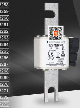 巴斯曼170M3266 3267 3268 3269 170M3270 3271 3272 3273熔断器