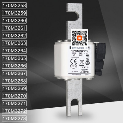 巴斯曼170M3268170M3273熔断器