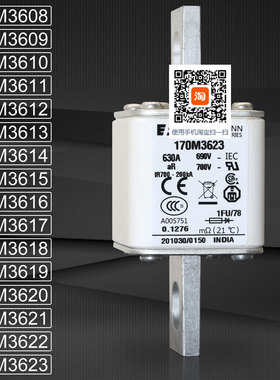熔断器170M3608 3609 3610 3611 170M3612 3613 3614 3615保险